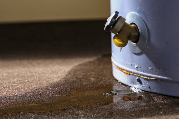 Best Professional water damage repair  in Mcgregor, FL