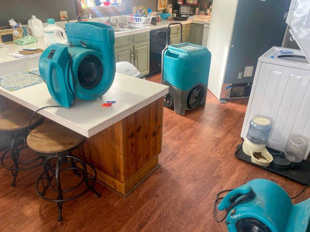 Water damage restoration process in Mcgregor, FL