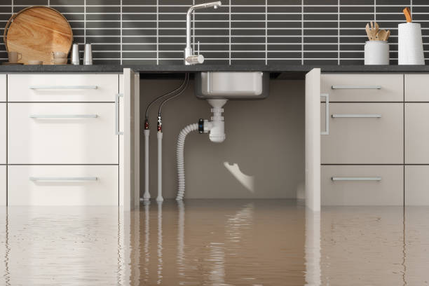 Best Water damage restoration near me  in Mcgregor, FL