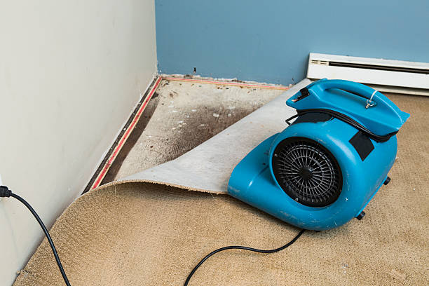 Reliable Mcgregor, FL Water damage restoration Solutions